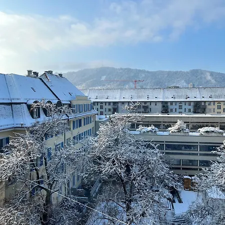 Alloggio in famiglia Cosy In Attic Flat In The Center Of Zurigo