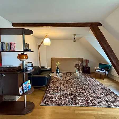 Cosy In Attic Flat In The Center Of Rum i privatbostad Zürich