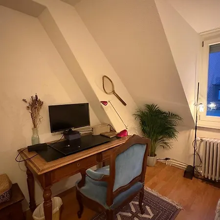 Cosy In Attic Flat In The Center Of * Zurych