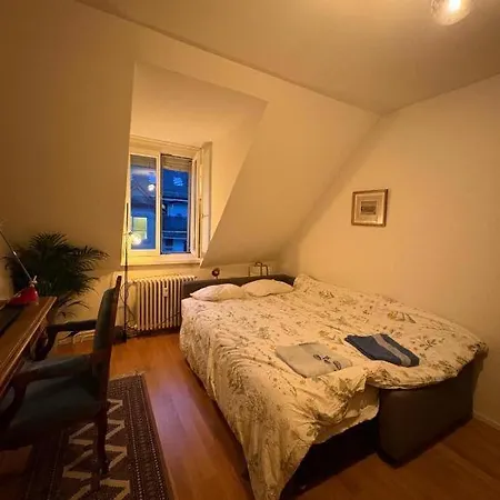 Cosy In Attic Flat In The Center Of Alloggio in famiglia Zurigo