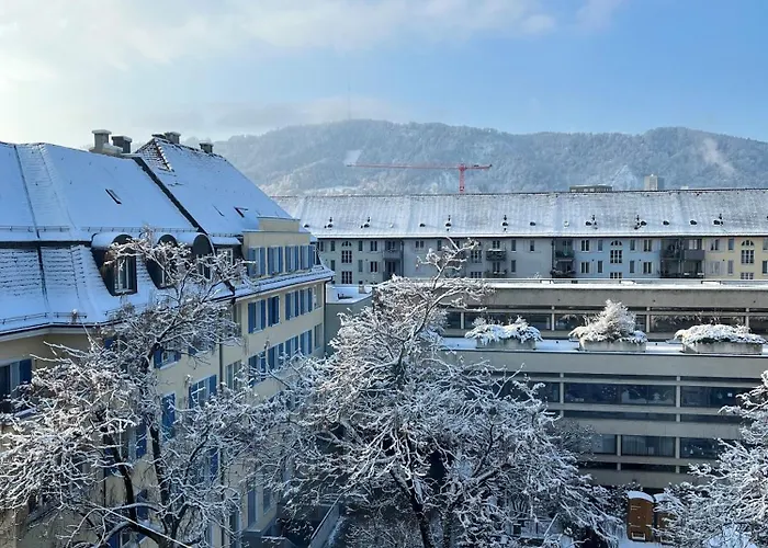 Homestay Cosy In Attic Flat In The Center Of Zurich