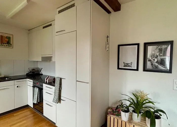 منزل للإقامة Cosy In Attic Flat In The Center Of زيورخ