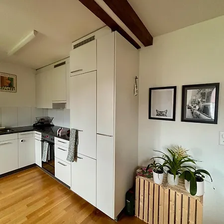 Homestay Cosy In Attic Flat In The Center Of Zurich