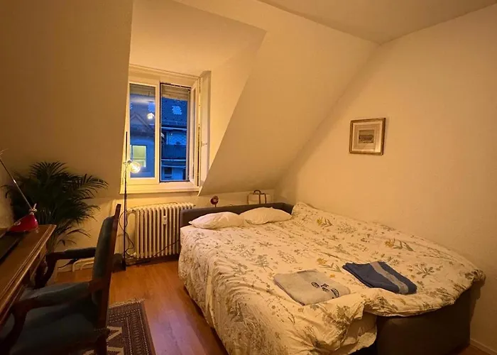 Cosy In Attic Flat In The Center Of Homestay