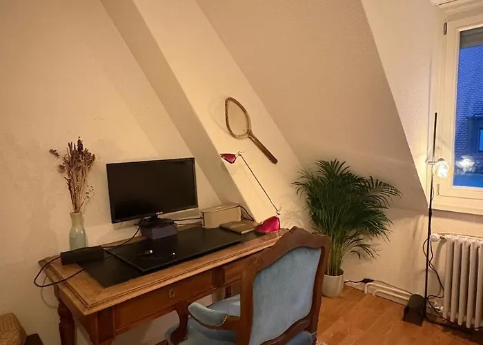 Cosy In Attic Flat In The Center Of * Zurich